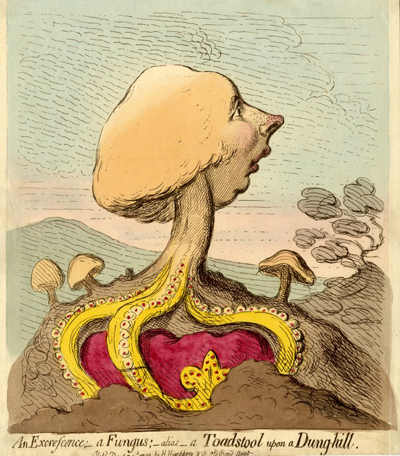 An Excrescence; A Fungus... Trustees of the British Museum